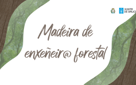 Campaña Madeira de Enxeñeir@ Forestal – Octubre 2020